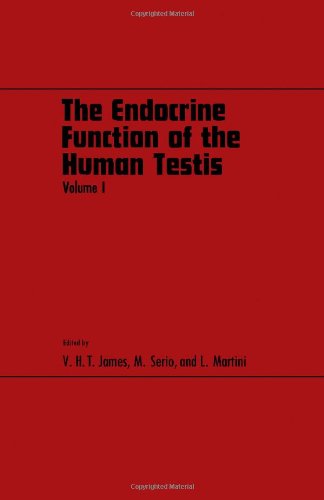 Stock image for Endocrine Function of the Human Testis: v. 1 for sale by medimops