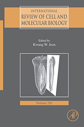 Stock image for International Review Of Cell and Molecular Biology: 281: Volume 281 for sale by WorldofBooks