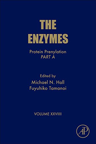 Stock image for Protein Prenylation, Part A (Volume 29) (The Enzymes (Volume 29)) for sale by Solr Books