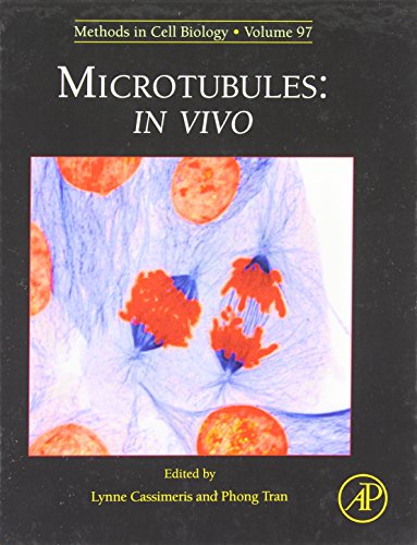 Stock image for Microtubules: in vivo (Methods in Cell Biology): Volume 97 for sale by Chiron Media