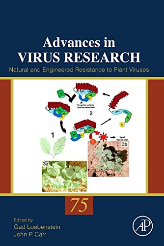 Stock image for Natural and Engineered Resistance to Plant Viruses: 75 (Advances in Virus Research): Volume 75 for sale by Chiron Media
