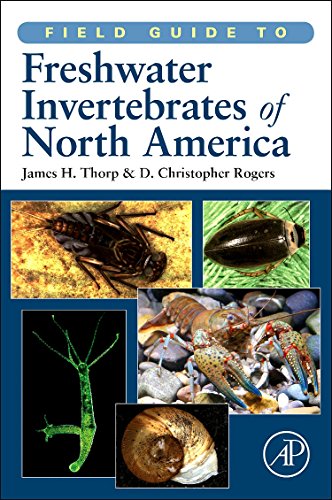 9780123814265: Field Guide to Freshwater Invertebrates of North America (Field Guide To... (Academic Press))