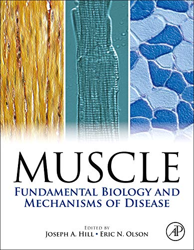 Imagen de archivo de Muscle 2-Volume Set: Fundamental Biology and Mechanisms of Disease a la venta por Brook Bookstore