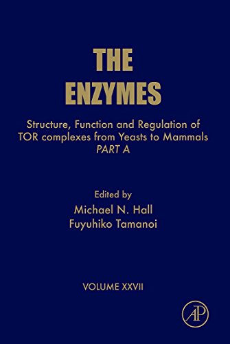 Stock image for Structure, Function and Regulation of TOR complexes from Yeasts to Mammals: Part A (Volume 27) (The Enzymes, Volume 27) for sale by Solr Books