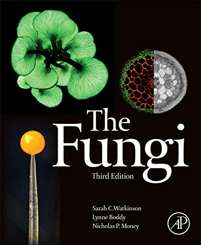 Stock image for The Fungi for sale by Textbooks_Source