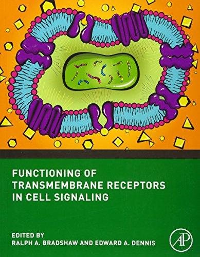 Stock image for Functioning of Transmembrane Receptors in Cell Signaling: Cell Signaling Collection for sale by Chiron Media
