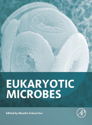 Stock image for Eukaryotic Microbes for sale by Books Puddle