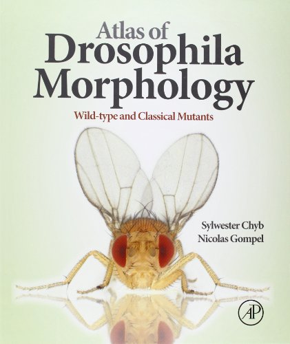 9780123846884: Atlas of Drosophila Morphology: Wild-type and Classical Mutants