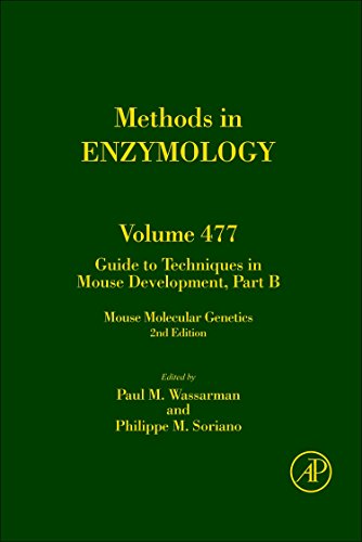 Imagen de archivo de Methods in Enzymology: Guide to Techniques in Mouse Development, Part B (Volume 477) a la venta por Anybook.com