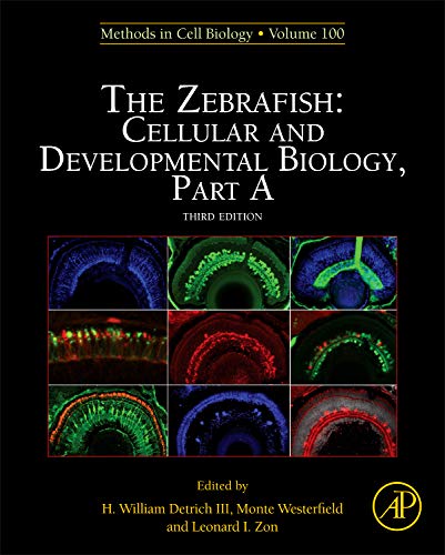 Stock image for The Zebrafish: Cellular and Developmental Biology, Part A, Volume 133 (Methods in Cell Biology) for sale by Iridium_Books