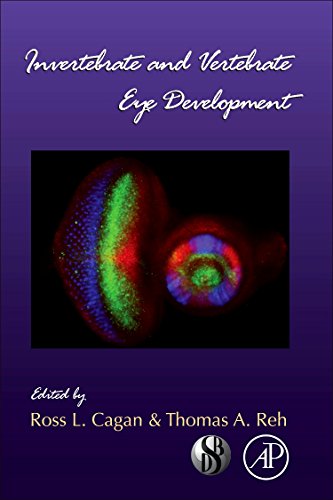 9780123850447: Invertebrate and Vertebrate Eye Development