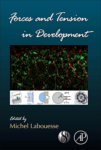 Beispielbild fr Forces and Tension in Development (Current Topics in Developmental Biology) zum Verkauf von Chiron Media