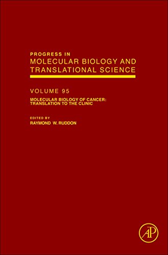 Beispielbild fr Molecular Biology of Cancer: Translation to the Clinic (Volume 95) (Progress in Molecular Biology and Translational Science, Volume 95) zum Verkauf von Solr Books