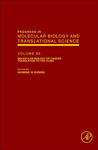 Stock image for Molecular Biology of Cancer: Translation to the Clinic: 95 (Progress in Molecular Biology and Translational Science): Volume 95 for sale by Chiron Media