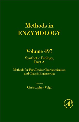 Stock image for Methods in Enzymology: Synthetic Biology, Part A (Volume 497) for sale by Anybook.com