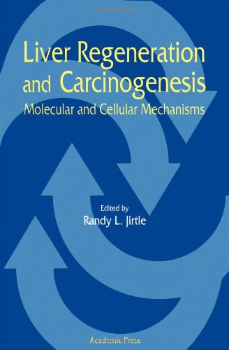 Beispielbild fr Liver Regeneration and Carcinogenesis: Molecular and Cellular Mechanisms zum Verkauf von Ammareal