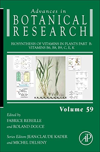 Stock image for Biosynthesis of Vitamins in Plants Part B: Vitamins B6, B8, B9, C, E, K (Advances in Botanical Research) for sale by Chiron Media