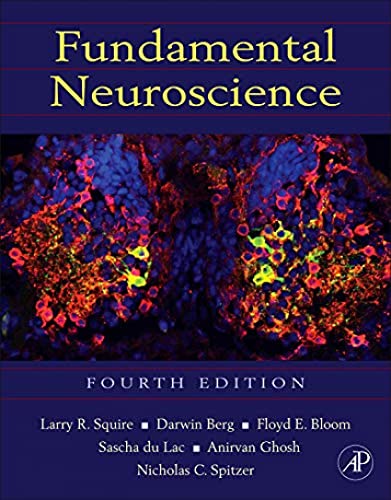 9780123858702: Fundamental Neuroscience