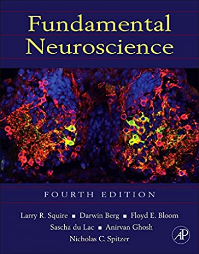 Stock image for Fundamental Neuroscience (Squire,Fundamental Neuroscience) for sale by Goodwill of Colorado