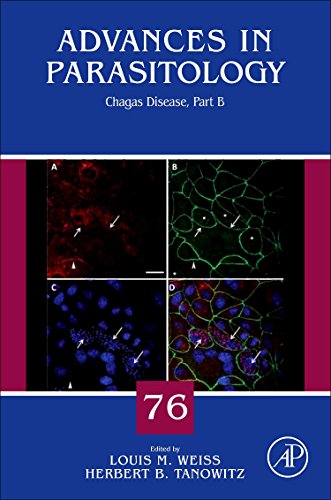 Stock image for Chagas Disease: 76 (Advances in Parasitology): Part B: Volume 76 for sale by Chiron Media