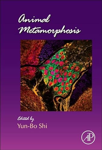 Stock image for Animal Metamorphosis: 103 (Current Topics in Developmental Biology): Volume 103 for sale by Chiron Media