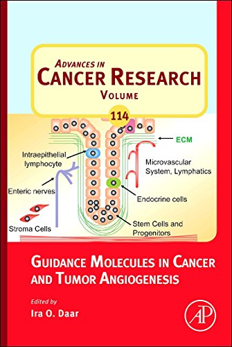 9780123865038: Guidance Molecules in Cancer and Tumor Angiogenesis (Advances in Cancer Research): Volume 114