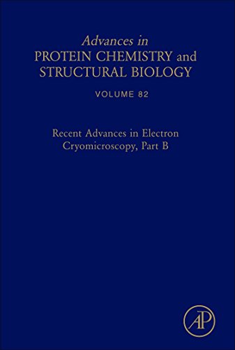 Stock image for Recent Advances in Electron Cryomicroscopy, Part B (Advances in Protein Chemistry & Structural Biology): Volume 82 (Advances in Protein Chemistry and Structural Biology) for sale by Chiron Media