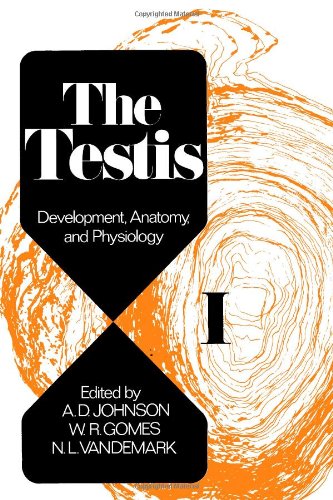 Stock image for The Testis, Volume I: Development, Anatomy, and Physiology for sale by dsmbooks