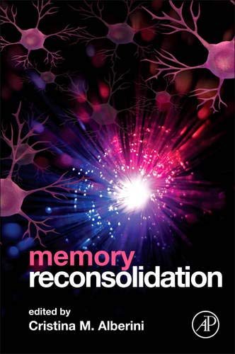 Stock image for Memory Reconsolidation for sale by Chiron Media
