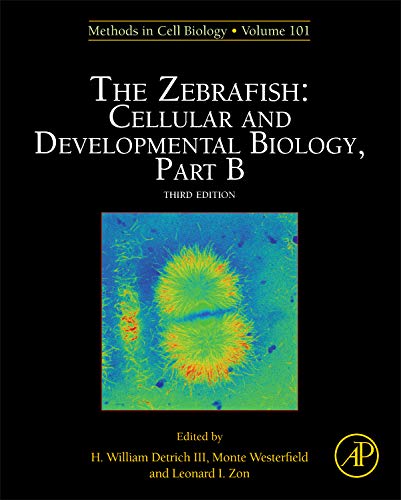Stock image for The Zebrafish: C and Developmental Biology Part B: 101 (Methods in Cell Biology): 134: Volume 134 for sale by Chiron Media