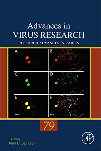 9780123870407: Research Advances in Rabies (Volume 79) (Advances in Virus Research, Volume 79)
