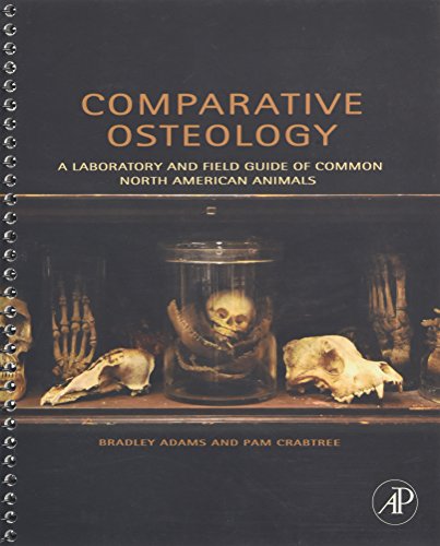 Stock image for Comparative Osteology for sale by Blackwell's