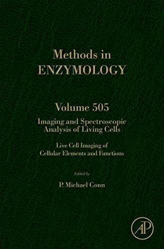 Beispielbild fr IMAGING AND SPECTROSCOPIC ANALYSIS OF LIVING CELLS: 505 (Methods in Enzymology): Live Cell Imaging of Cellular Elements and Functions: Volume 505 zum Verkauf von Brook Bookstore On Demand