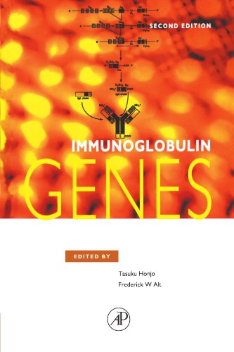 Stock image for Immunoglobulin Genes for sale by Revaluation Books