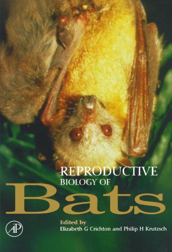 Stock image for Reproductive Biology of Bats for sale by Revaluation Books