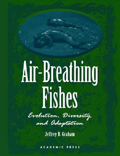 9780123886163: Air-Breathing Fishes: Evolution, Diversity, and Adaptation