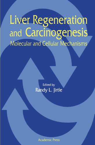 Stock image for Liver Regeneration and Carcinogenesis: Molecular and Cellular Mechanisms for sale by Revaluation Books