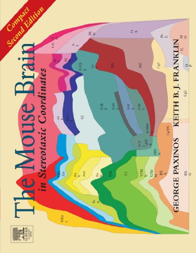 Imagen de archivo de The Mouse Brain in Stereotaxic Coordinates: Compact Second Edition a la venta por Book Deals