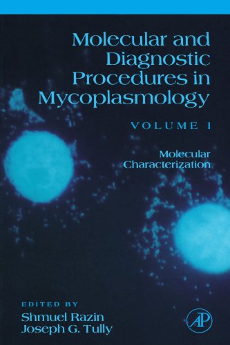 Stock image for Molecular and Diagnostic Procedures in Mycoplasmology: Volume 1 Molecular Characterization for sale by Revaluation Books
