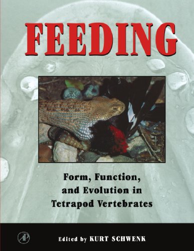 9780123907585: Feeding: Form, Function and Evolution in Tetrapod Vertebrates