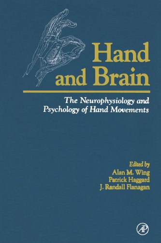 Stock image for Hand and Brain: The Neurophysiology and Psychology of Hand Movements for sale by Revaluation Books