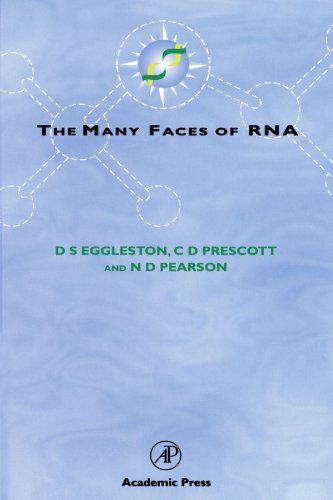 9780123909251: The Many Faces of RNA