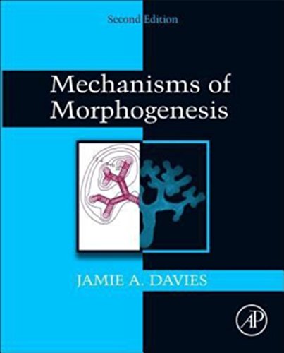 9780123910622: Mechanisms of Morphogenesis