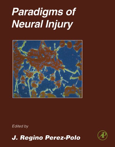 9780123912183: Paradigms of Neural Injury