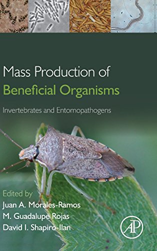 Stock image for Mass Production of Beneficial Organisms: Invertebrates and Entomopathogens for sale by Chiron Media