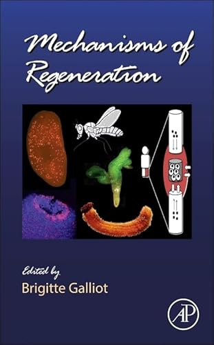 Stock image for Mechanisms of Regeneration: 108 (Current Topics in Developmental Biology): Volume 108 for sale by Chiron Media