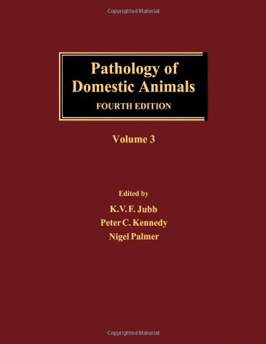 Stock image for Pathology of Domestic Animals, Three-Volume Set: Pathology of Domestic Animals, Volume 3, Fourth Edition for sale by HPB-Red