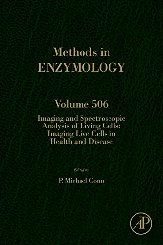 Stock image for IMAGING AND SPECTROSCOPIC ANALYSIS OF LIVING CELLS: 506 (Methods in Enzymology): Imaging Live Cells in Health and Disease: Volume 506 for sale by Chiron Media