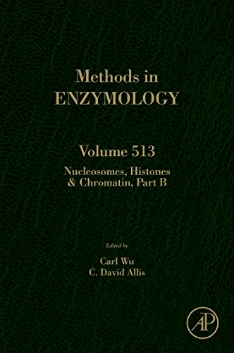 Beispielbild fr Nucleosomes, Histones & Chromatin Part B (Methods in Enzymology) (Volume 513) zum Verkauf von Anybook.com