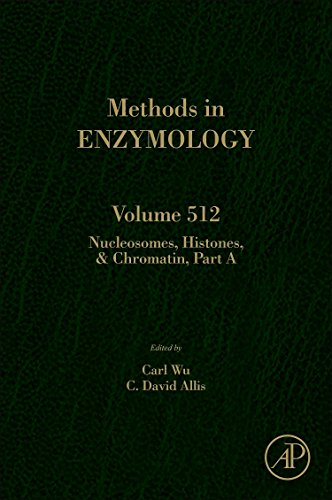 Beispielbild fr Nucleosomes, Histones & Chromatin Part A (Methods in Enzymology) (Volume 512) zum Verkauf von Anybook.com